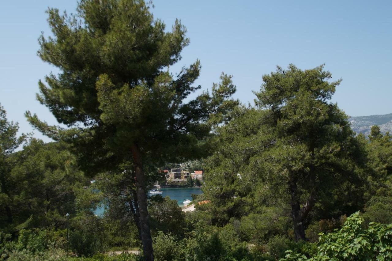 Vita Apartments Zrnovo Bagian luar foto